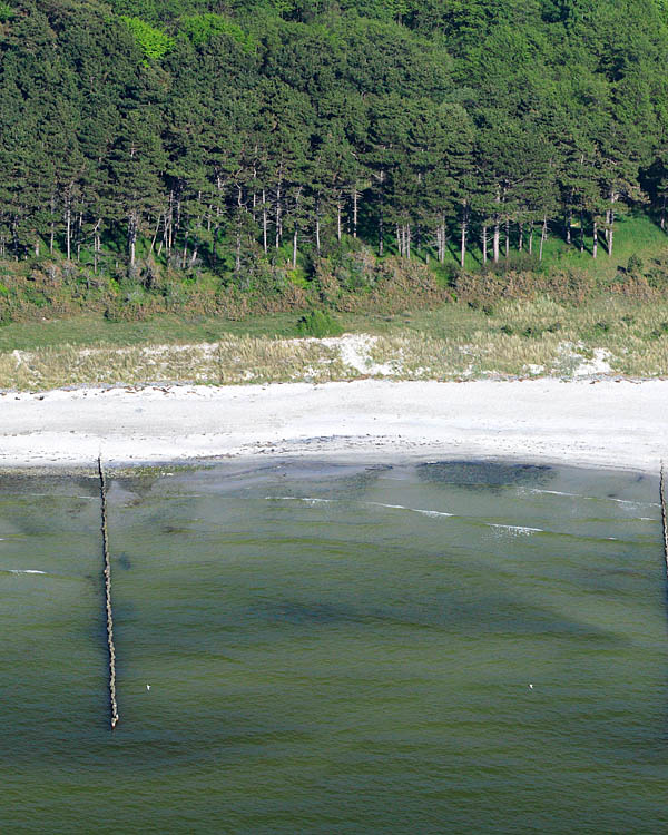 Fischland Darrs Zingst von oben