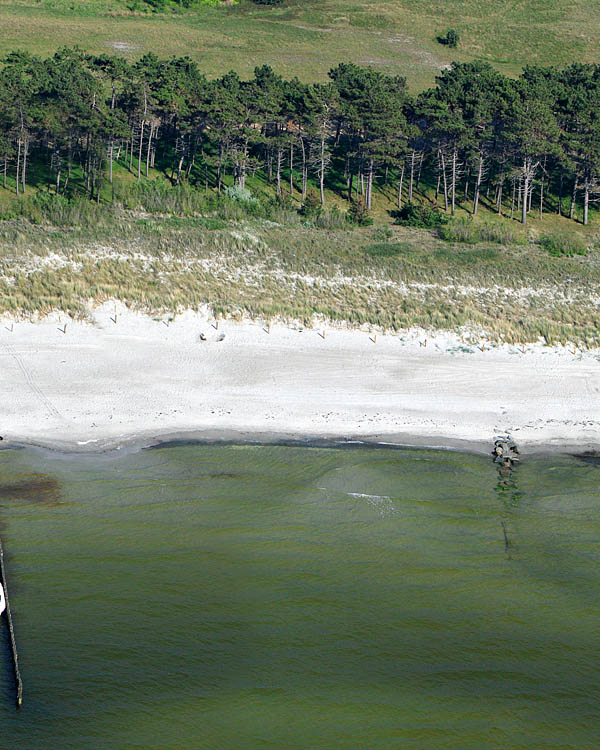 Fischland Darrs Zingst von oben