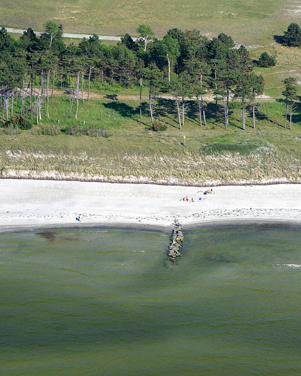 Fischland Darrs Zingst von oben