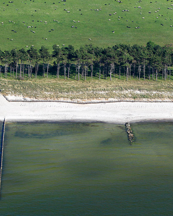 Fischland Darrs Zingst von oben