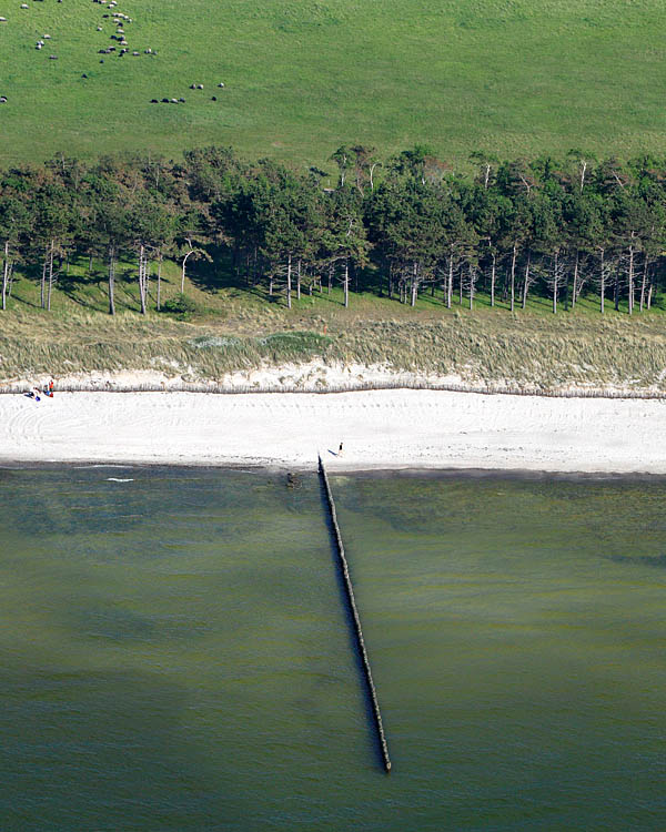 Fischland Darrs Zingst von oben