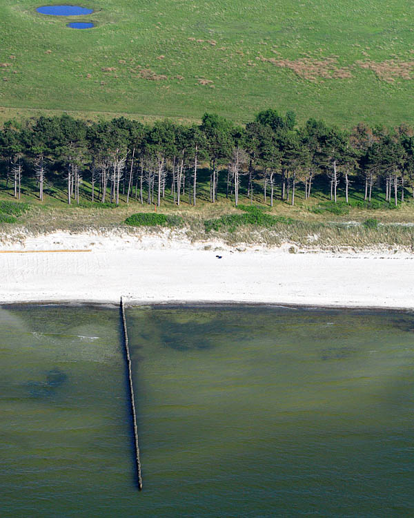 Fischland Darrs Zingst von oben