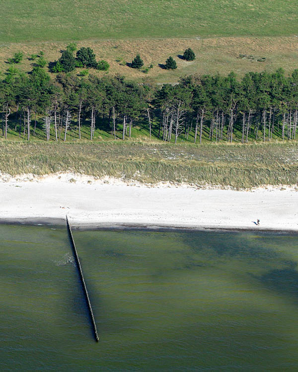 Fischland Darrs Zingst von oben