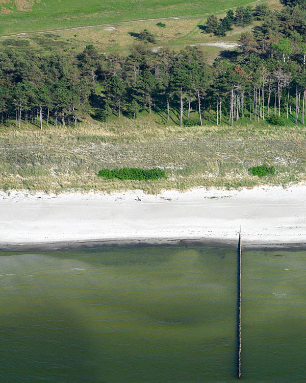 Fischland Darrs Zingst von oben