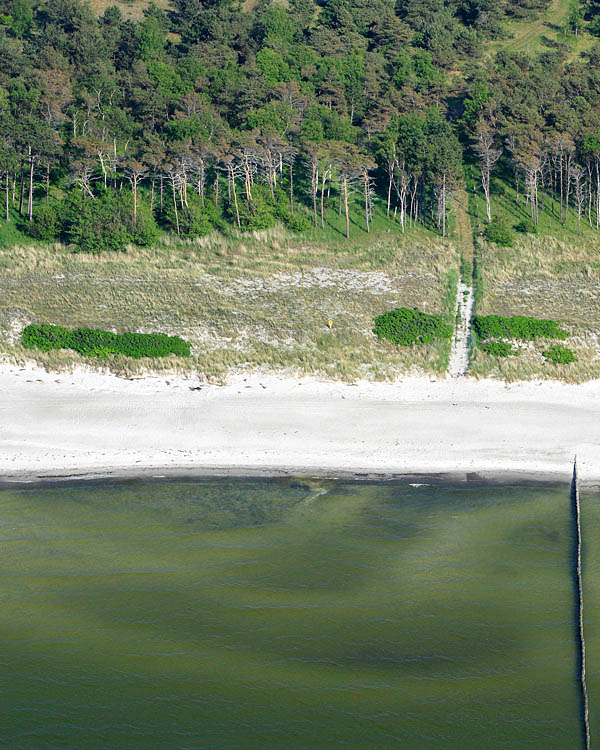 Fischland Darrs Zingst von oben