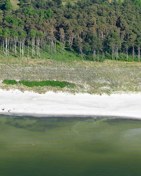 Fischland Darrs Zingst von oben