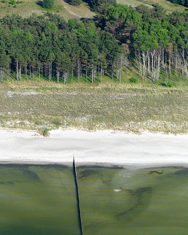 Fischland Darrs Zingst von oben