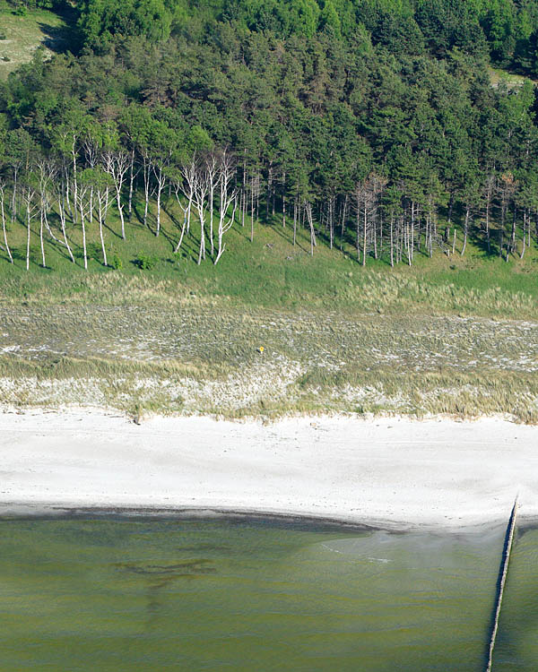 Fischland Darrs Zingst von oben