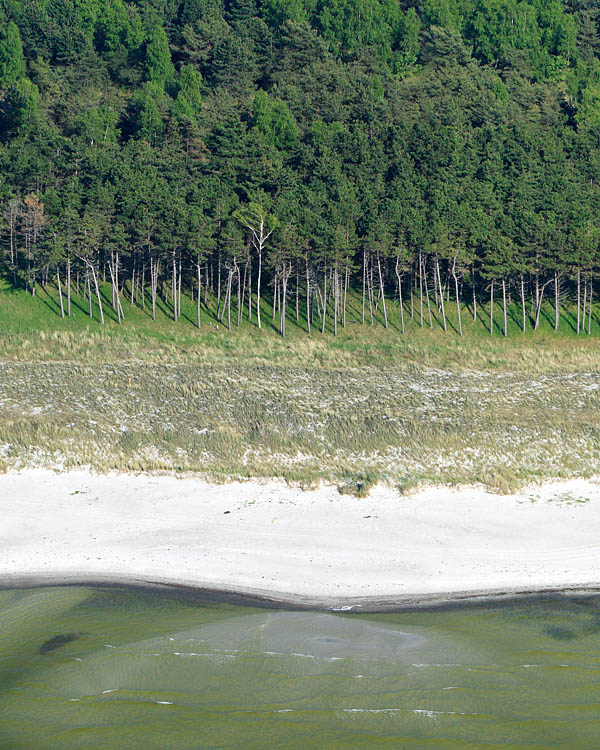 Fischland Darrs Zingst von oben