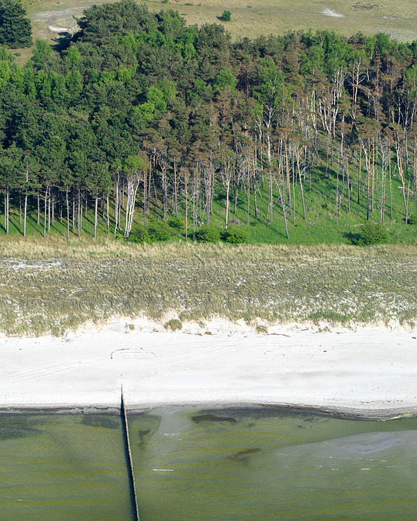 Fischland Darrs Zingst von oben