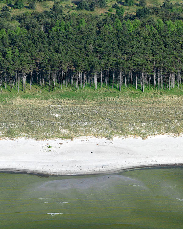 Fischland Darrs Zingst von oben