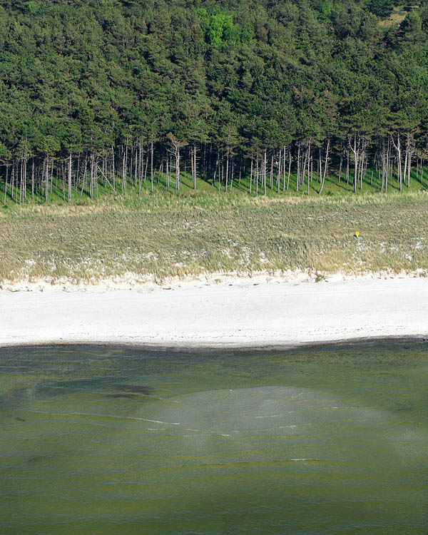 Fischland Darrs Zingst von oben