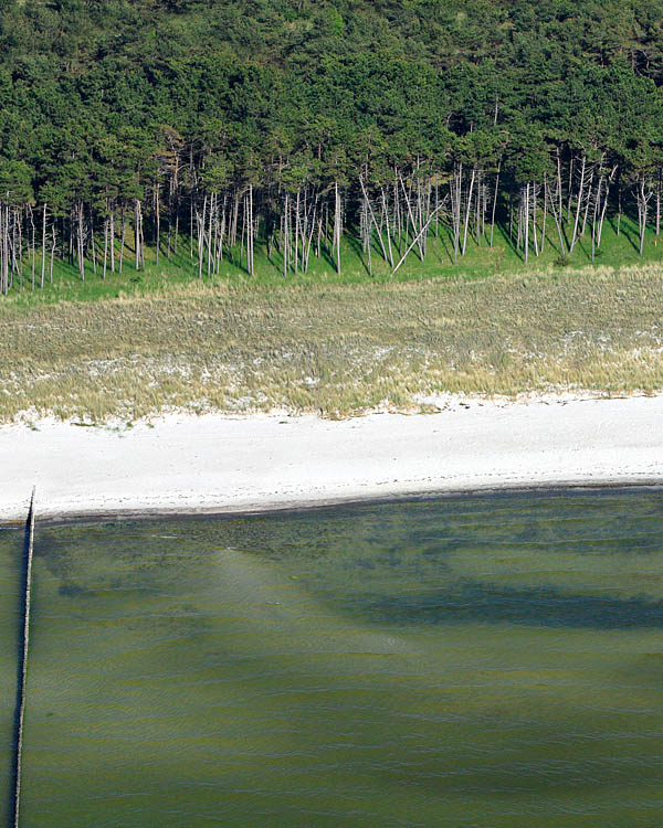 Fischland Darrs Zingst von oben