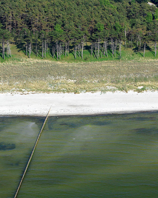 Fischland Darrs Zingst von oben