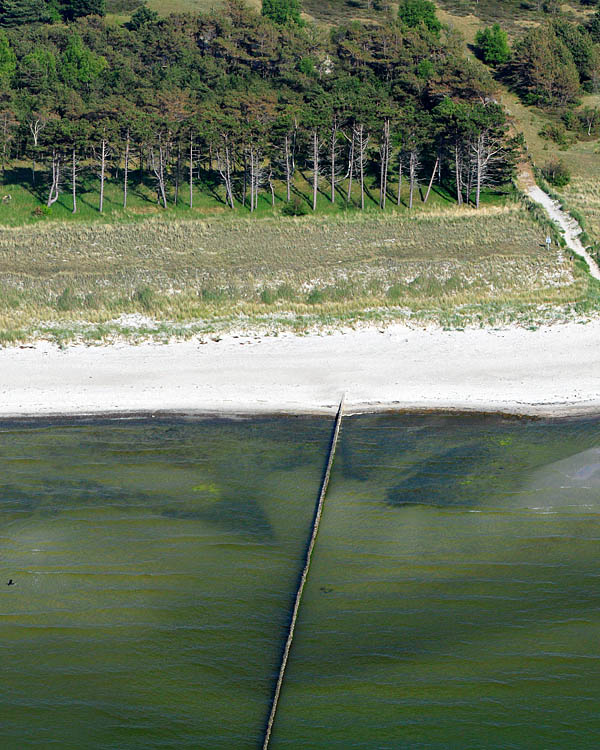 Fischland Darrs Zingst von oben