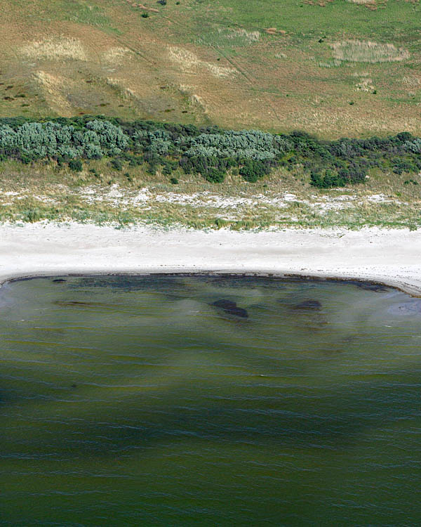 Fischland Darrs Zingst von oben