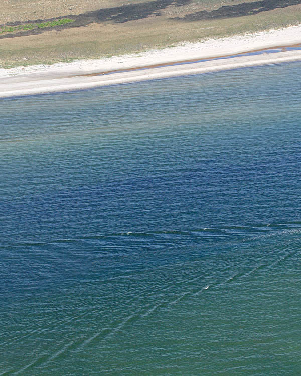 Fischland Darrs Zingst von oben