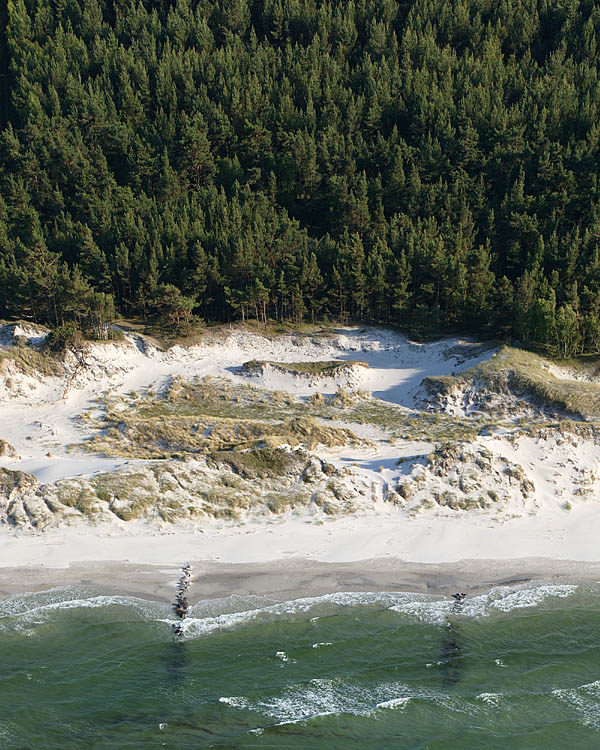 Fischland Darrs Zingst von oben