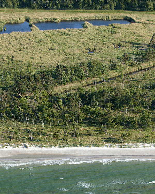 Fischland Darrs Zingst von oben