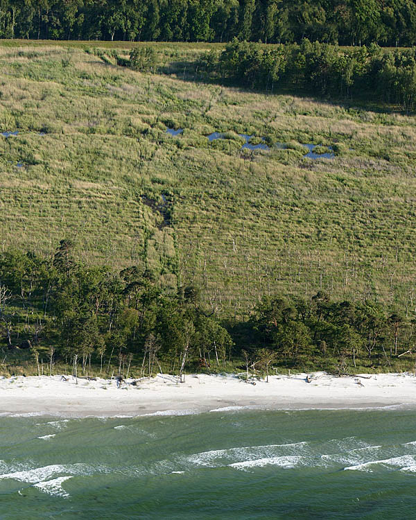 Fischland Darrs Zingst von oben