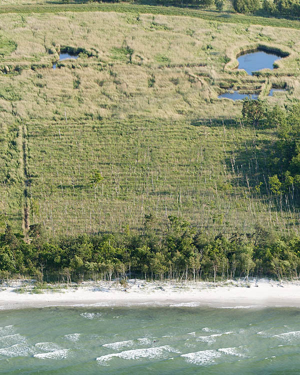 Fischland Darrs Zingst von oben