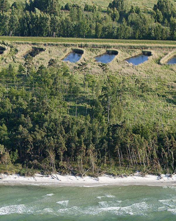 Fischland Darrs Zingst von oben