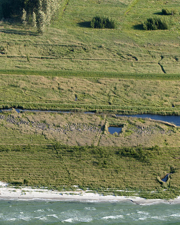 Fischland Darrs Zingst von oben