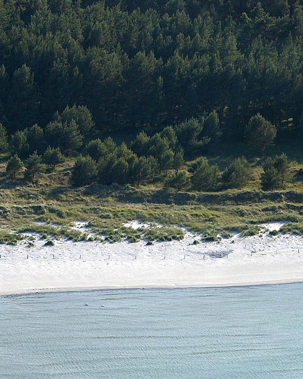 Fischland Darrs Zingst von oben