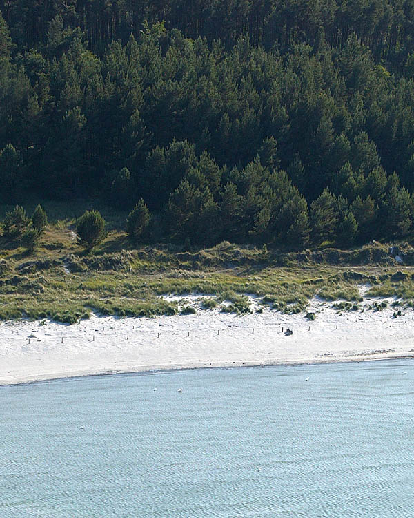 Fischland Darrs Zingst von oben