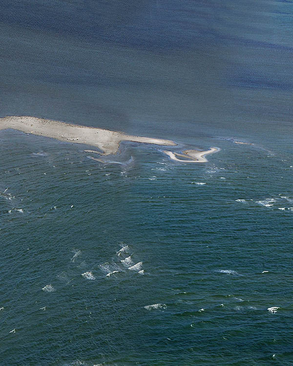 Fischland Darrs Zingst von oben