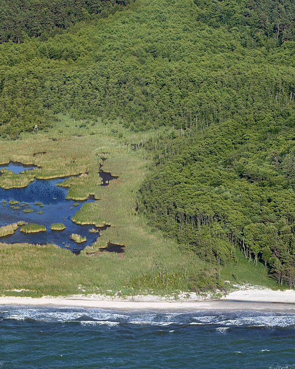 Fischland Darrs Zingst von oben