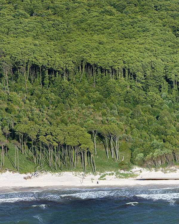 Fischland Darrs Zingst von oben