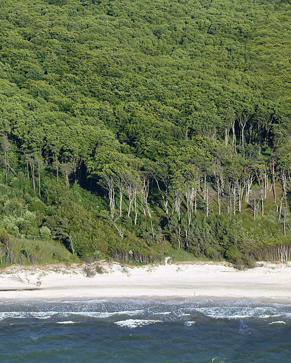 Fischland Darrs Zingst von oben