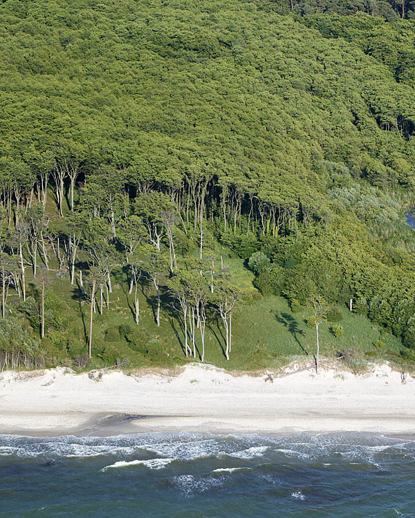 Fischland Darrs Zingst von oben