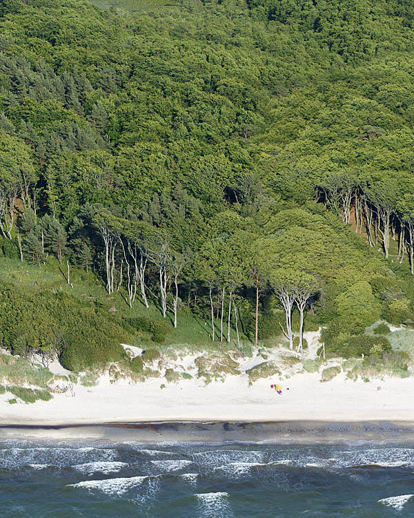 Fischland Darrs Zingst von oben