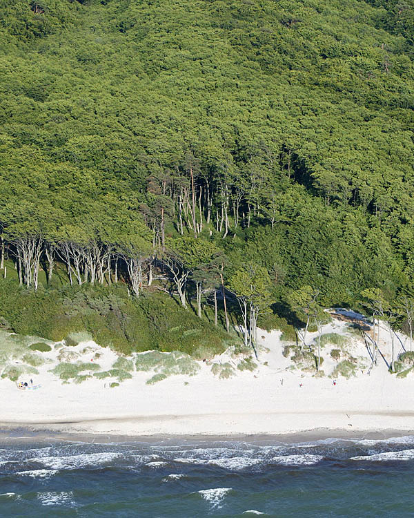 Fischland Darrs Zingst von oben