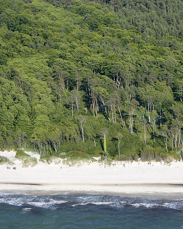 Fischland Darrs Zingst von oben