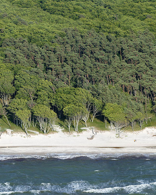 Fischland Darrs Zingst von oben