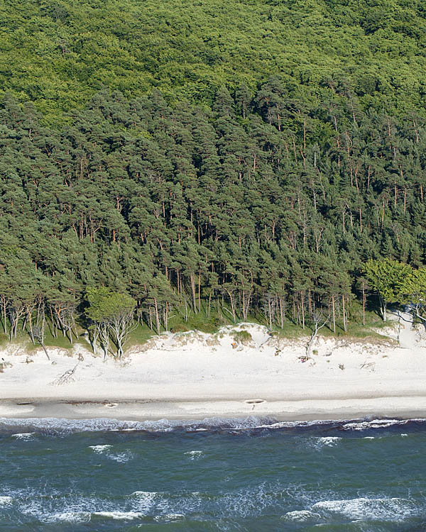 Fischland Darrs Zingst von oben