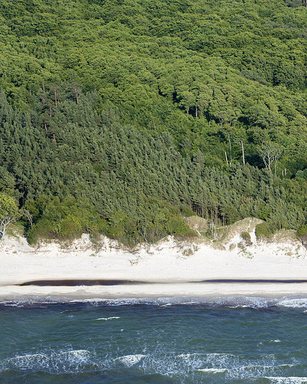 Fischland Darrs Zingst von oben