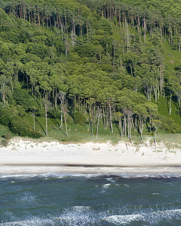 Fischland Darrs Zingst von oben