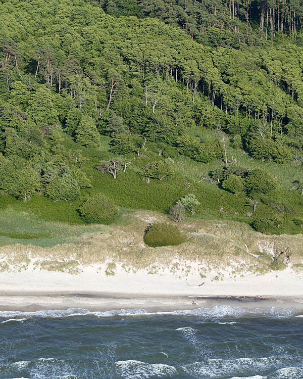 Fischland Darrs Zingst von oben