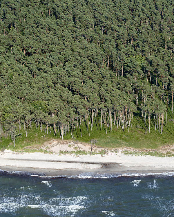 Fischland Darrs Zingst von oben