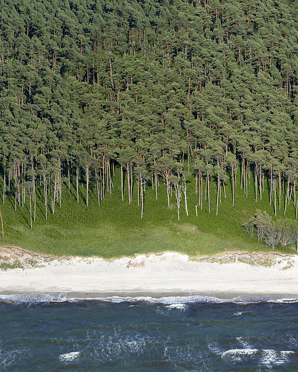 Fischland Darrs Zingst von oben