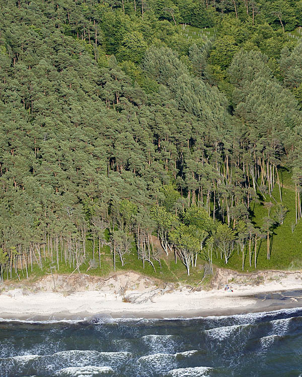 Fischland Darrs Zingst von oben