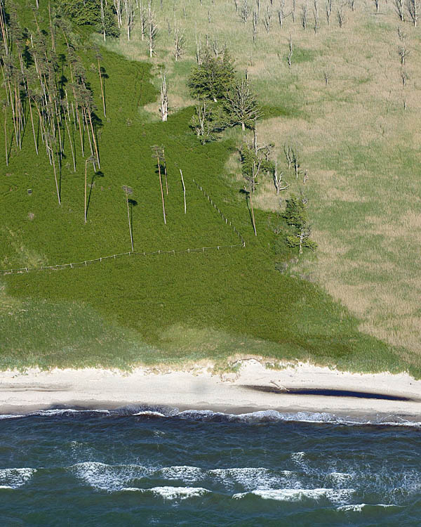 Fischland Darrs Zingst von oben