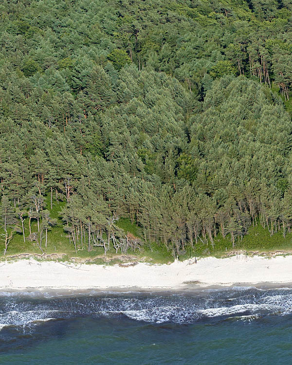 Fischland Darrs Zingst von oben