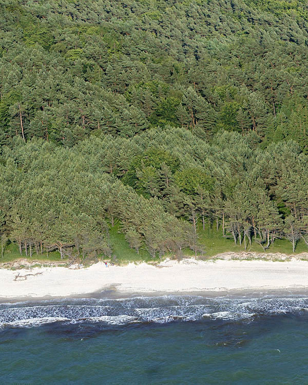 Fischland Darrs Zingst von oben