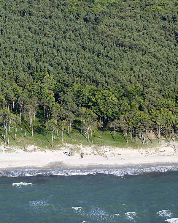 Fischland Darrs Zingst von oben