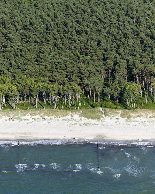 Fischland Darrs Zingst von oben